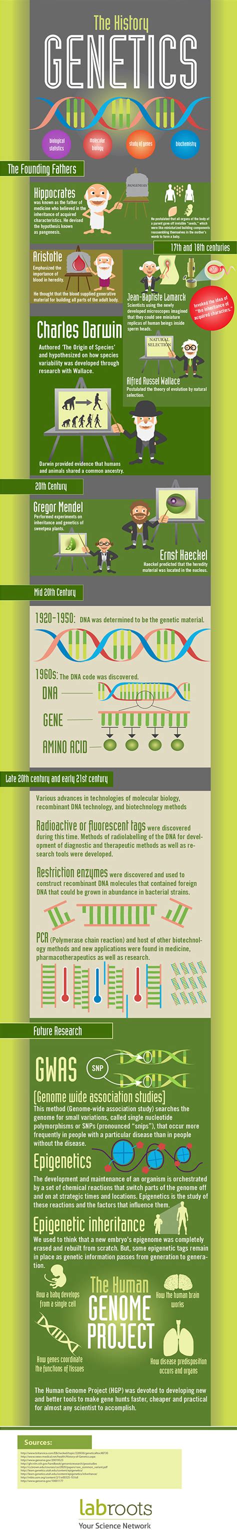 The History Of Genetics Infographics