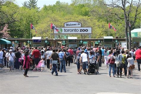 Toronto Zoo Go For Your Kids Stay For The Animals