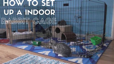 How To Set Up A Indoor Rabbit Cage Youtube