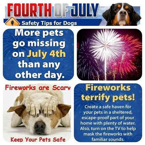 Keeping Your Pet Safe On 4th Of July