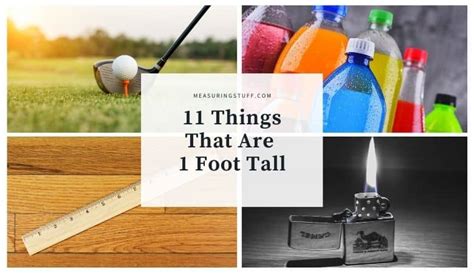 11 Things That Are 1 Foot Tall 5 Will Surprise You Measuring Stuff