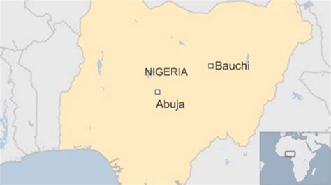 Nigerian Female Bomb Suspect Beaten To Death By Mob Bbc News