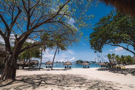 Bluewater Maribago Beach Resort Updated 2023 Hotel Reviews Price