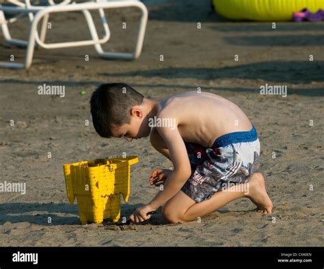 Little Boy Intently Digging In The Sand Stock Photo Alamy