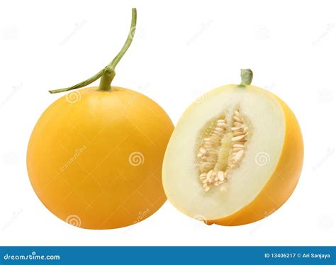 Golden Melon Royalty Free Stock Photography Image 13406217