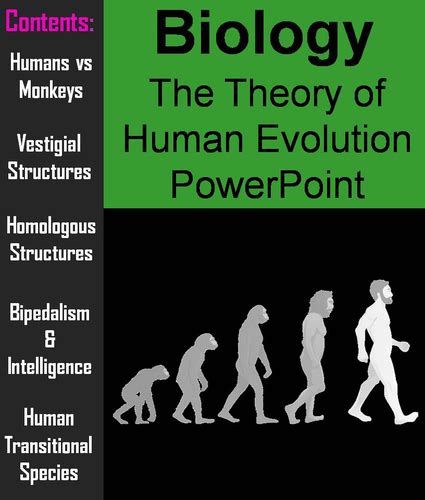 Human Evolution Powerpoint Teaching Resources