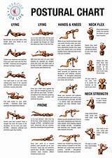 Back Strengthening Exercises Pictures