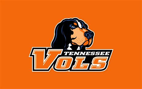 tennessee vols - Google Search | Tennessee volunteers, Tennessee volunteers football, Tennessee 