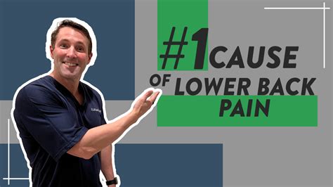What Is The Number One Cause Of Lower Back Pain Dr David Geier
