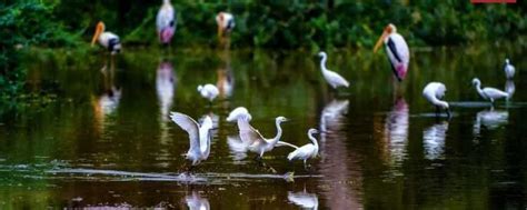 Horagolla National Park Sri Lanka Wildlife Photography Tours Sri Lanka