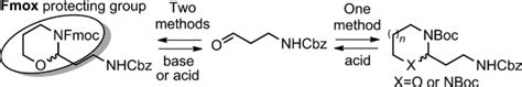 Fmox A Base‐labile Aldehyde Protecting Group Diness 2015