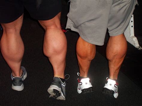 Anatomy Of The Calf Muscle Corewalking