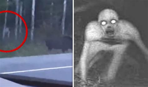 Mysterious Humanoid Creature Spotted Stalking Moose Prompts Panic