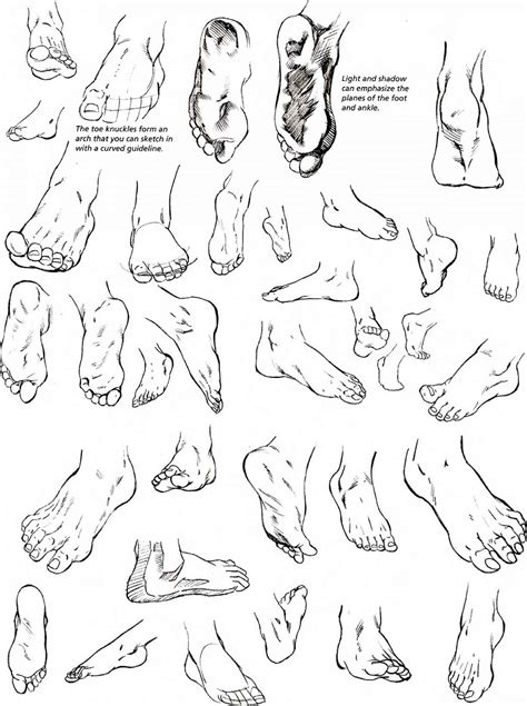 Anatomy The Foot Pencil Sketch Ankle Sketches Drawing People Pencil