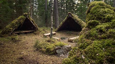 How To Build A Forest Shelter Dreamopportunity25
