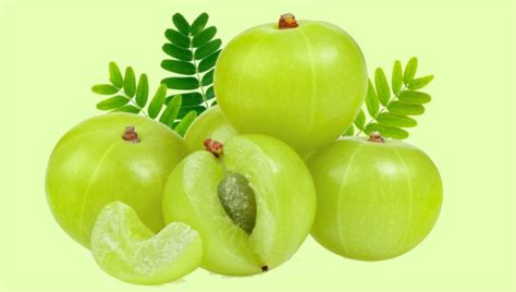 The nutrients in coconut oil, such as vitamin e, k as well as fatty acids keep the scalp healthy, clean and prevent dandruff and other scalp. 5 science-backed reasons why amla is the solution to all ...