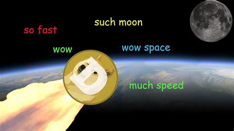 Doge wallpaper 1920x1080 87 images. Doge Wallpaper HD (77+ images)