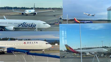 Ksea Plane Spotting Seattle Tacoma International Airport Youtube