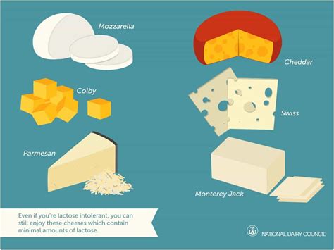 Low Lactose Cheese Types Of Cheeses Which Are Low In Lactose