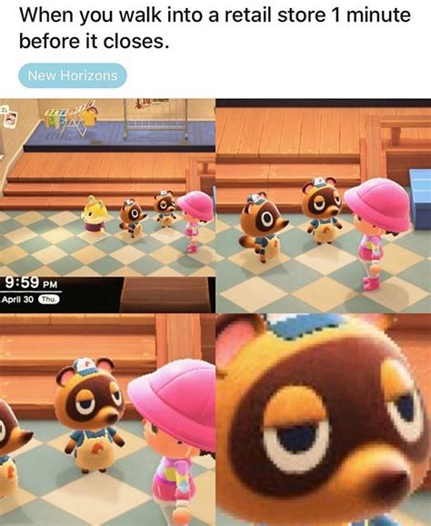 Pin On Animal Crossing Memes