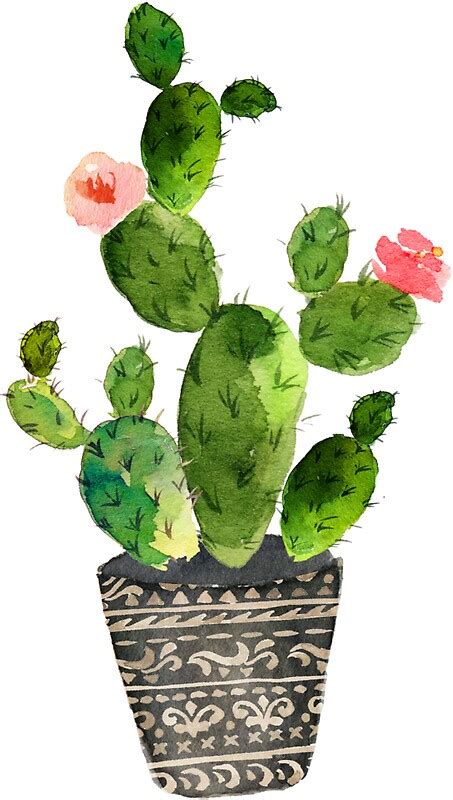 Watercolor Cactus Stickers By Southprints Redbubble