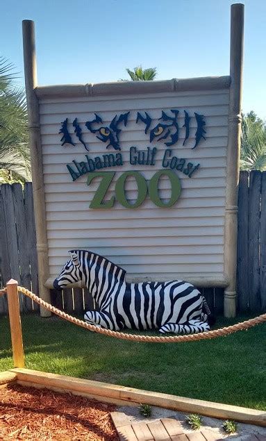 Find the best campgrounds & rv parks near foley, alabama. 15 Best Things to Do in Foley (AL) - The Crazy Tourist