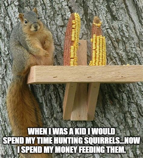Squirrel Imgflip