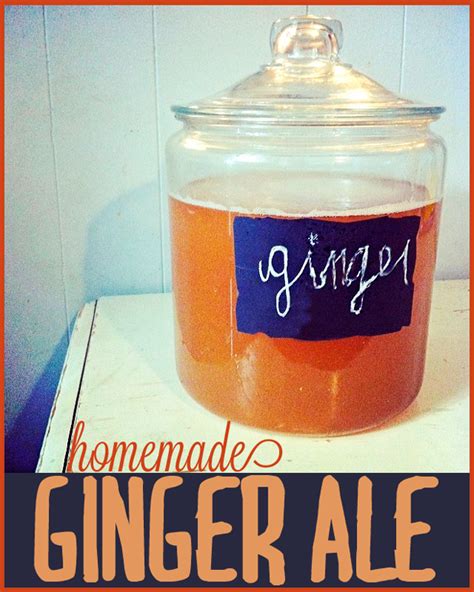 Homemade Ginger Ale Recipe Recipe Homemade