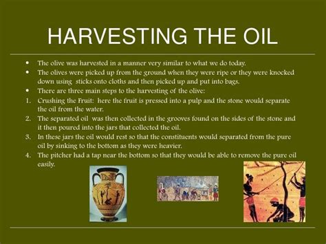 History Of Olive Oil In Greece
