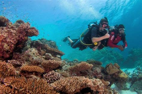 What Is Banyan Tree Doing To Save Coral Reefs In The