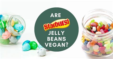 Are Starburst Jelly Beans Vegan Full 2021 Ingredients List