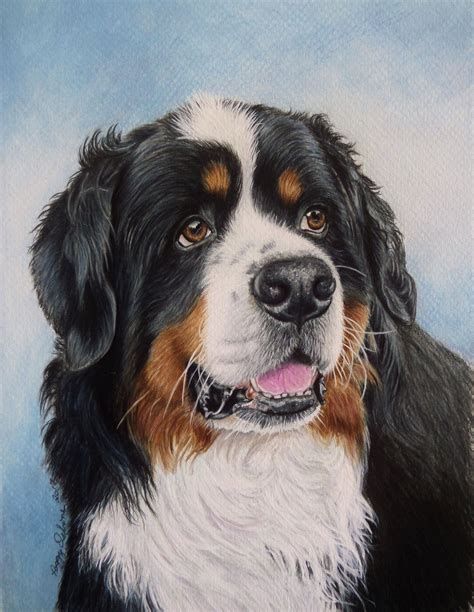 Billy Boy Bernese Mountain Dog Done On Mat Board With