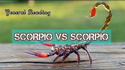 Scorpio Vs Scorpio General Reading Timeless Youtube