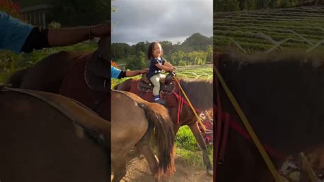 yanyan horseback riding  youtube