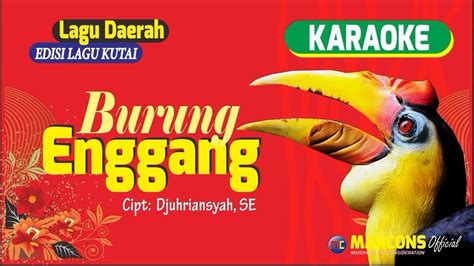 Spesies ini memiliki balung atau tanduk berwarna merah, berparuh besar berwarna putih gading, bercorak warna bulu hitam atau putih, dan ekor cukup panjang dengan corak warna dominan putih meski ada hitamnya. Burung Enggang Merista | Lagu Daerah Kutai - Kalimantan ...