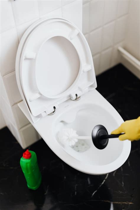 5 Tricks To Keep An Odorless Waterless Toilet Waterless Toilet
