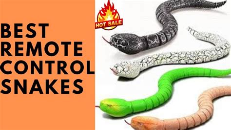 Best Remote Control Snakes Top 5 Remote Control Snakes Youtube
