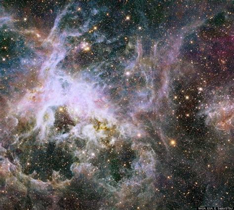 Tarantula Nebula Captured In Stunning Detail By Nasas
