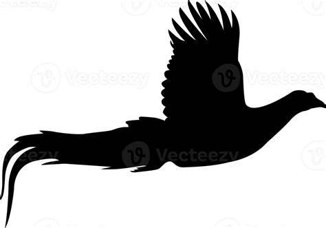 Wild Animal Bird Silhouette 27155019 Png
