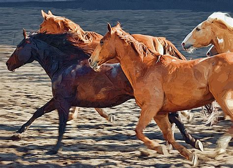 Wild Horses Running Painting By Clarence Alford