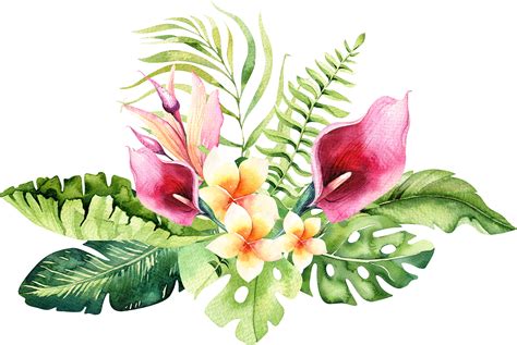 Download 4 Hand Drawn Watercolor Tropical Flower Png Image With No