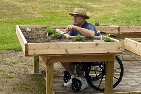 Wheelchair Accessible Raised Garden Beds Riff Tamar