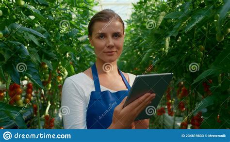 Botanical Scientist Doing Research Tablet Cultivation Tomatoes In