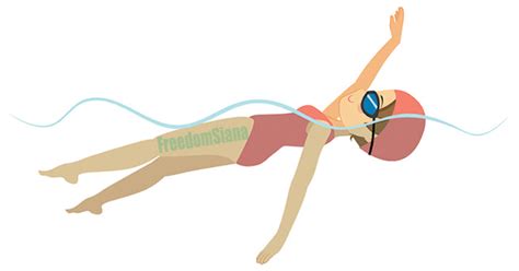 Teknik Renang Gaya Punggung Posisi Badan Gerakan Tangan Napas