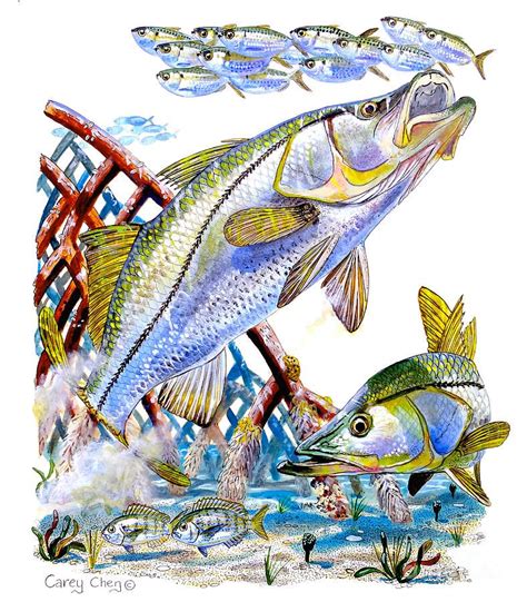Snook Ambush By Carey Chen Sea Life Art Sea Creatures Art Fish Artwork