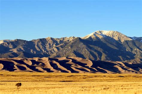 Sunrise With Blue Skies At Great Sand Dunes National Park Colorado Usa