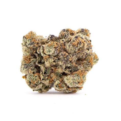 Buy Do Si Dos No33 By Barneys Farm At Cannabis Seeds Outlet Uk
