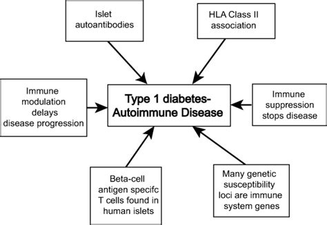 The Case For An Autoimmune Aetiology Of Type 1 Diabetes Mannering