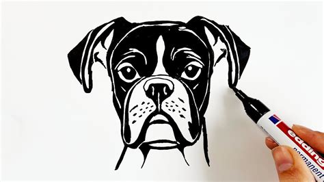 How To Draw A Boxer Dog Youtube
