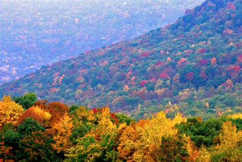 Fall Foliage From Arkansas Parks And Tourism